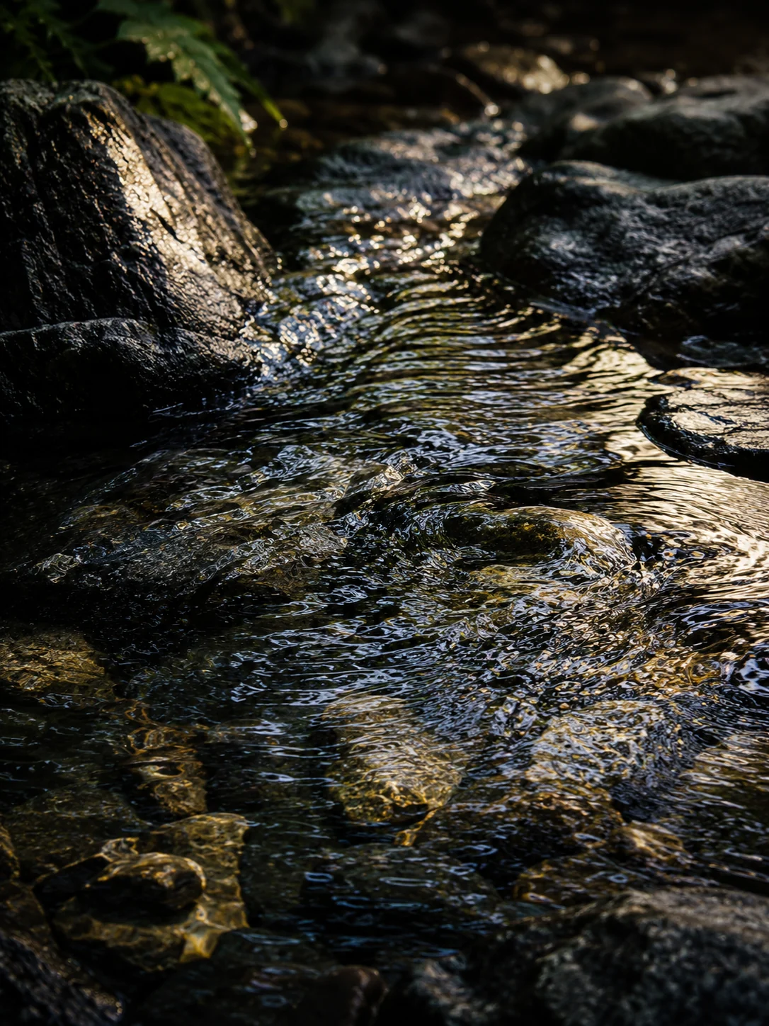 清冽な水